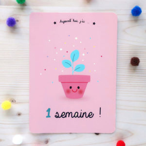 cartes étapes premières semaines bébé petits et grands progrès découvertes papeterie cadeau naissance souvenirs kit