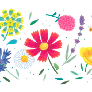 fleurs illustration carte décoration cadeau impression couleur