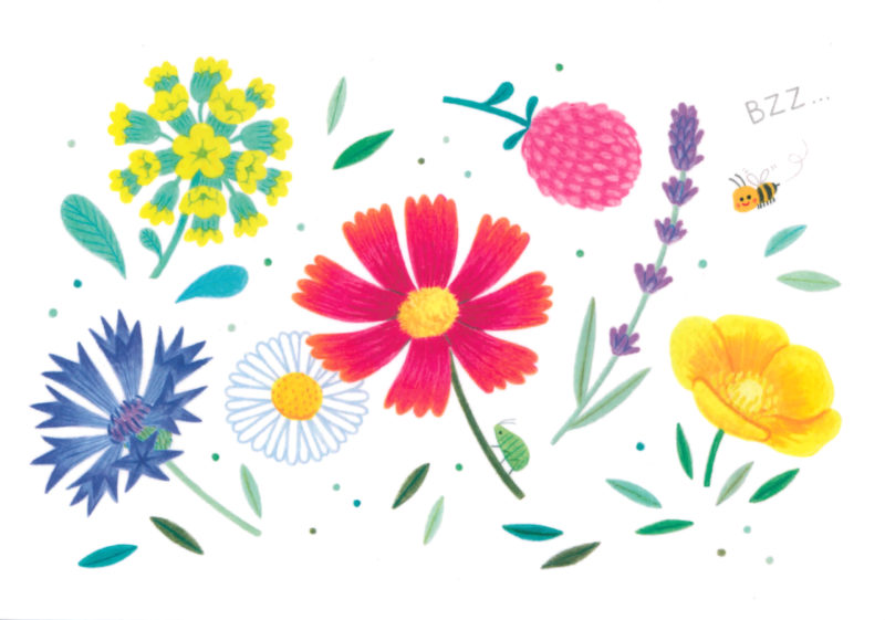 fleurs illustration carte décoration cadeau impression couleur