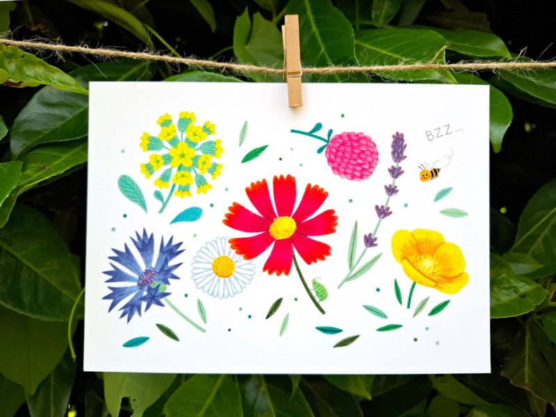 fleurs illustration carte décoration cadeau impression couleur
