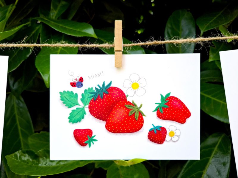 fraises illustration carte décoration cadeau impression couleur