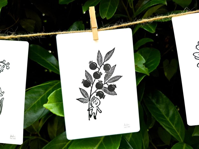 myrtille linogravure dessin illustration dandelion nenuphar muguet persil artichaut paquerette petite graine oeuvre unique noir blanc nature fruit fleur