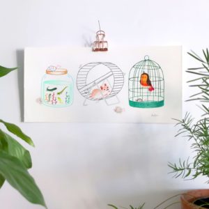 animaux de compagnie hamster oiseau tétards souris illustration originale crayons de couleur