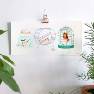 animaux de compagnie hamster oiseau tétards souris illustration originale crayons de couleur
