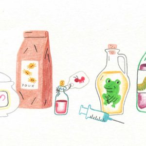 remèdes sorcière poux bave grenouille venin serpent poil souris jus fourmis halloween illustration originale crayons de couleur